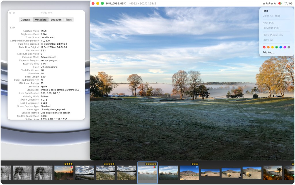Just Look! reviewing a photo with Image Info, Picks menu, and thumbnail strip